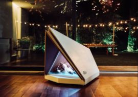 Technologie Fordu pomáhají domácím mazlíčkům (VIDEO)