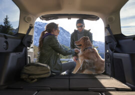 Nebankovní společnosti mají žně, zájem o úvěry roste