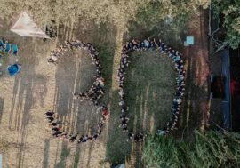 Volkswagen Financial Services slaví 30 let v České republice