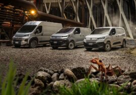 Fiat pobavil svět chytlavou reklamou s dodávkami a mravenci. Máme i video ze zákulisí natáčení