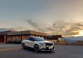 Představení: DS N°8